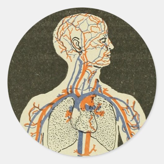  Anatomie Aderen en Arteriën Illustratie Ronde Sticker (Voorkant)