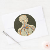  Anatomie Aderen en Arteriën Illustratie Ronde Sticker (Envelop)