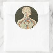  Anatomie Aderen en Arteriën Illustratie Ronde Sticker (Tas)