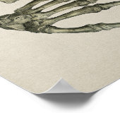 Anatomie  afdruk van Botten voor menselijk gebruik Poster (Hoek)