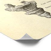  anatomie AfdrukBotten Sacrum Poster (Hoek)