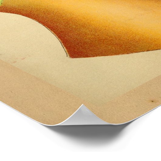  anatomie Afdrukfrenologie Hoofdgrafiek Kleur Poster (Hoek)