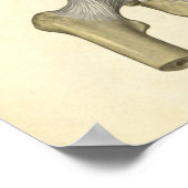  anatomie Afdrukken Botten Pelvis Poster (Hoek)