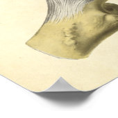 anatomie Afdrukken Botten van Hip Pelvis Poster (Hoek)