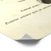 anatomie Afdrukken Botten van voet Poster (Hoek)