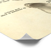  anatomie Afdrukken Botten van voet Poster (Hoek)