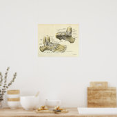 anatomie Afdrukken Botten van voet Poster (Keuken)