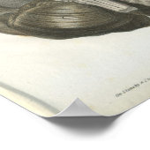 Anatomie afdrukken van humaan hersenzenuwstelsel poster (Hoek)