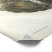 Anatomie afdrukken van humaan hersenzenuwstelsel poster (Hoek)