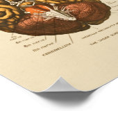 Anatomie afdrukken van humaan hersenzenuwstelsel poster (Hoek)