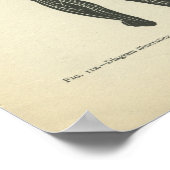  Anatomie Afdrukken Zenuwstelsel Poster (Hoek)