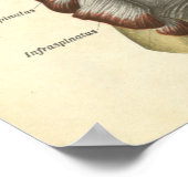  anatomie Afdrukplaat Botten Schoudergewricht Poster (Hoek)