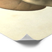 Anatomie Anatomie Poster (Hoek)