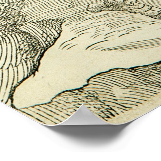 Anatomie Andreas Vesalius Skeleton Poster (Hoek)