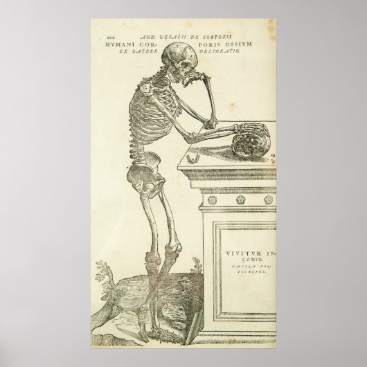 Anatomie Andreas Vesalius Skeleton Poster (Voorkant)