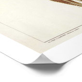 Anatomie Anterieur Poster (Hoek)