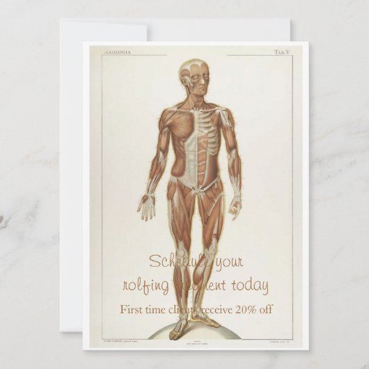 Anatomie Anterior Kaart (Voorkant)