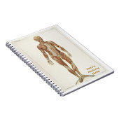 Anatomie Anterior Notitieboek (Rechterzijde)