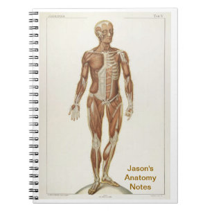 Anatomie Anterior Notitieboek