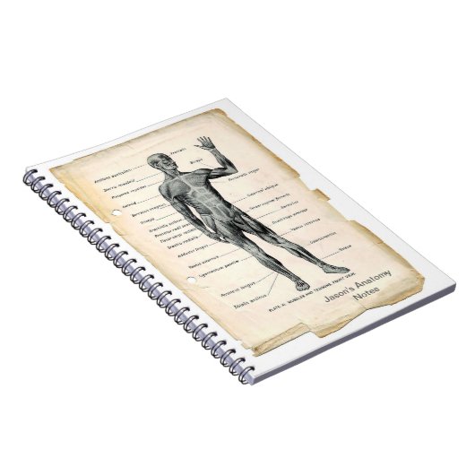 Anatomie Anterior Notitieboek (Rechterzijde)