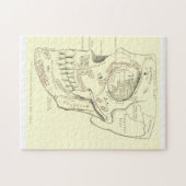  Anatomie Anterolateraal gebied van de schedel Legpuzzel (Horizontaal)