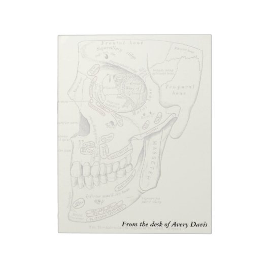 Anatomie Anterolateraal gebied van de schedel Notitieblok (Linkerzijde)