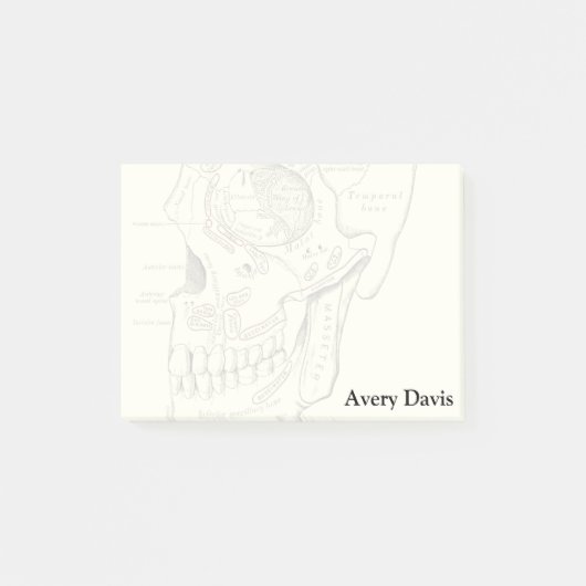  Anatomie Anterolateraal gebied van de schedel Post-it® Notes (Voorkant)