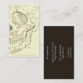  Anatomie Anterolateraal gebied van de schedel Visitekaartje (Voorkant / Achterkant)