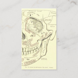  Anatomie Anterolateraal gebied van de schedel Visitekaartje