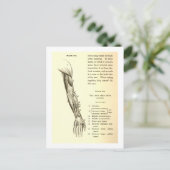  anatomie | Armossen (circa 1852) Briefkaart (Staand voorkant)