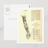  anatomie | Armossen (circa 1852) Briefkaart (Voorkant / Achterkant)