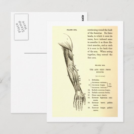  anatomie | Armossen (circa 1852) Briefkaart (Voorkant / Achterkant)