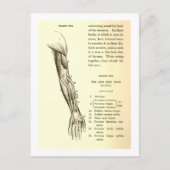  anatomie | Armossen (circa 1852) Briefkaart (Voorkant)