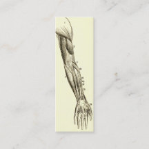  anatomie | Armossen (circa 1852)