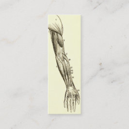  anatomie | Armossen (circa 1852) Mini Visitekaartje