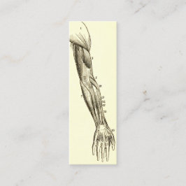  anatomie | Armossen (circa 1852) Mini Visitekaartje