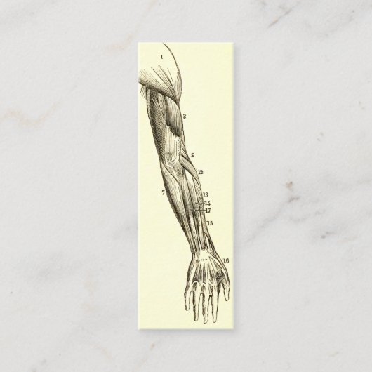 anatomie | Armossen (circa 1852) Mini Visitekaartje (Voorkant)