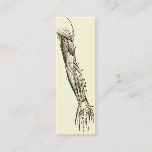  anatomie | Armossen (circa 1852) Mini Visitekaartje (Voorkant)