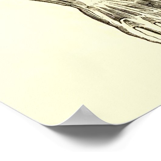  anatomie | Armossen (circa 1852) Poster (Hoek)