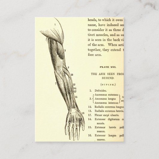 anatomie | Armossen (circa 1852) Visitekaartje (Voorkant)