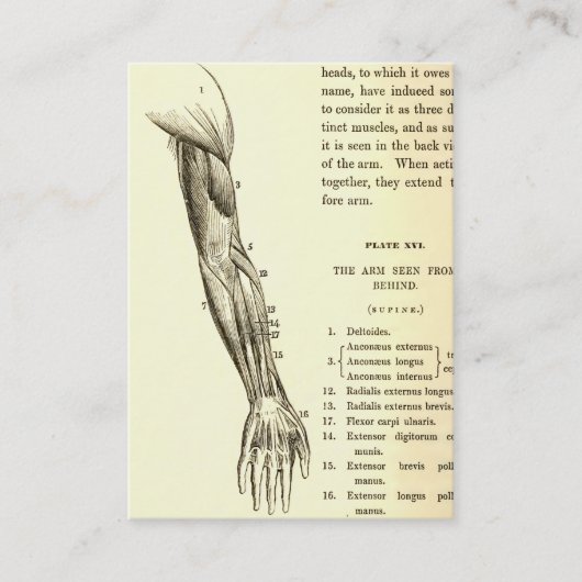 anatomie | Armossen (circa 1852) Visitekaartje (Voorkant)