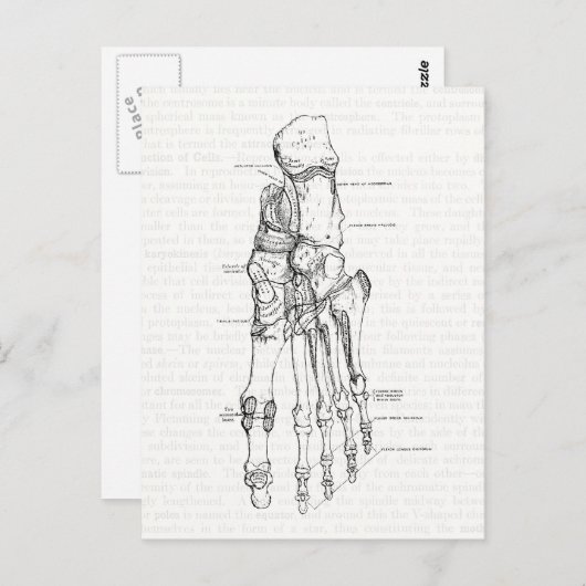  anatomie Art Botten van de voet Briefkaart (Voorkant / Achterkant)