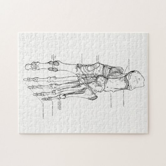  anatomie Art Botten van de voet Legpuzzel (Horizontaal)
