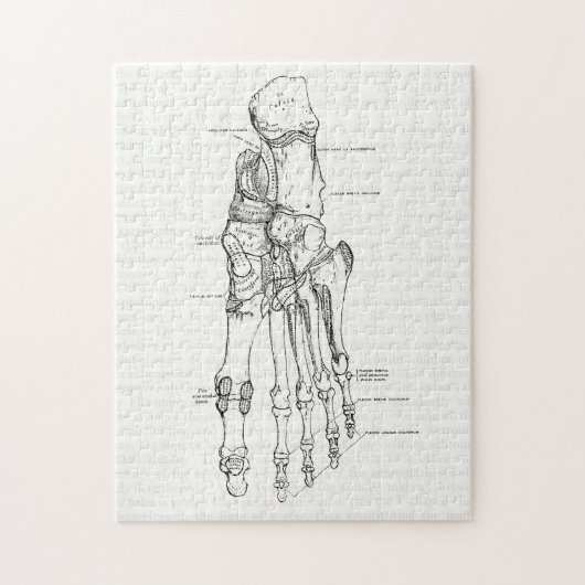  anatomie Art Botten van de voet Legpuzzel (Verticaal)