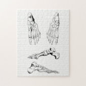  anatomie Art Botten van de voet Legpuzzel (Verticaal)