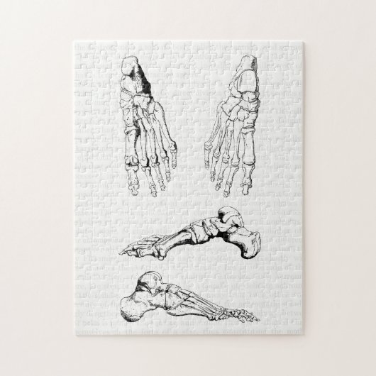  anatomie Art Botten van de voet Legpuzzel (Verticaal)