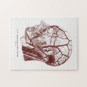 anatomie Art Nerves van het menselijk hoofd Legpuzzel (Horizontaal)
