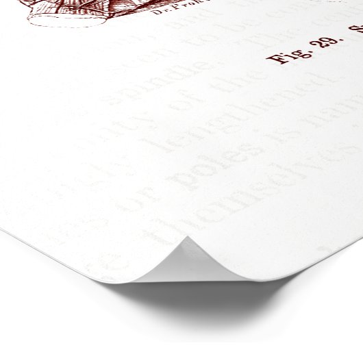  anatomie Art Nerves van het menselijk hoofd Poster (Hoek)