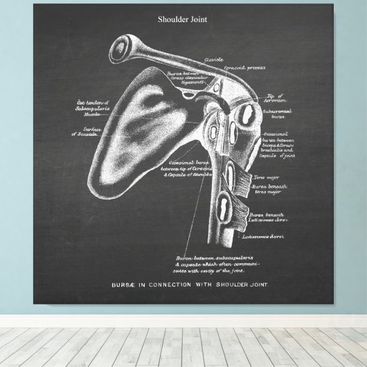 Anatomie Art no.1 Schoudergewricht Canvas Afdruk (Insitu (Houten vloer))
