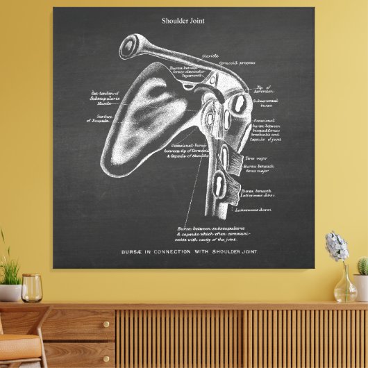 Anatomie Art no.1 Schoudergewricht Canvas Afdruk (Insitu (Woonkamer))
